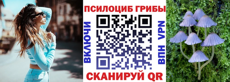 Галлюциногенные грибы MAGIC MUSHROOMS  что такое   KRAKEN зеркало  Сочи 